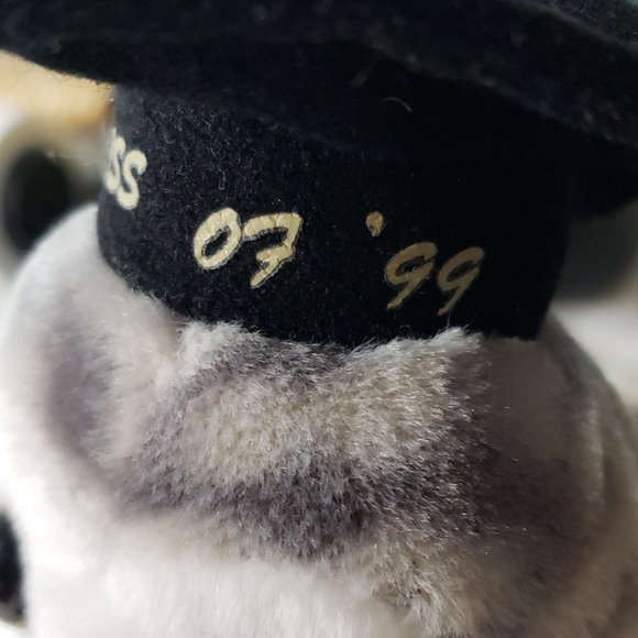 1999 - Vintage Ty Beanie Babies Collection "Wiser" Owl - Picture 7 of 7